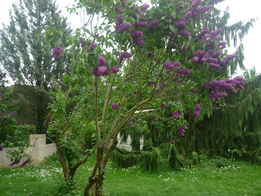 Parc De La Charmille Panzió Saint-Étienne-sur-Reyssouze Kültér fotó